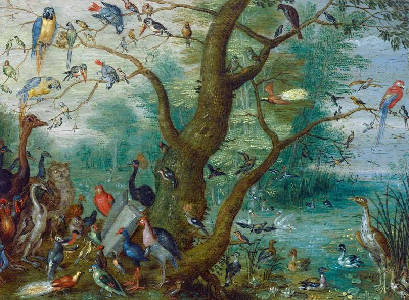 Jan Van Kessel Concert van Vogels